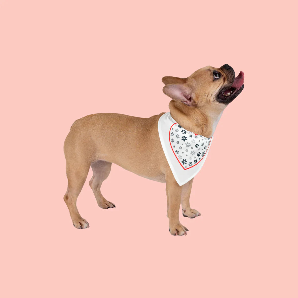 BANDANA