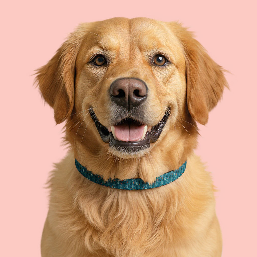Teal Mosaic Clip-On Pet Collar — Lightweight Adjustable Dog & Cat Collar