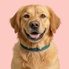 Teal Mosaic Clip-On Pet Collar — Lightweight Adjustable Dog & Cat Collar