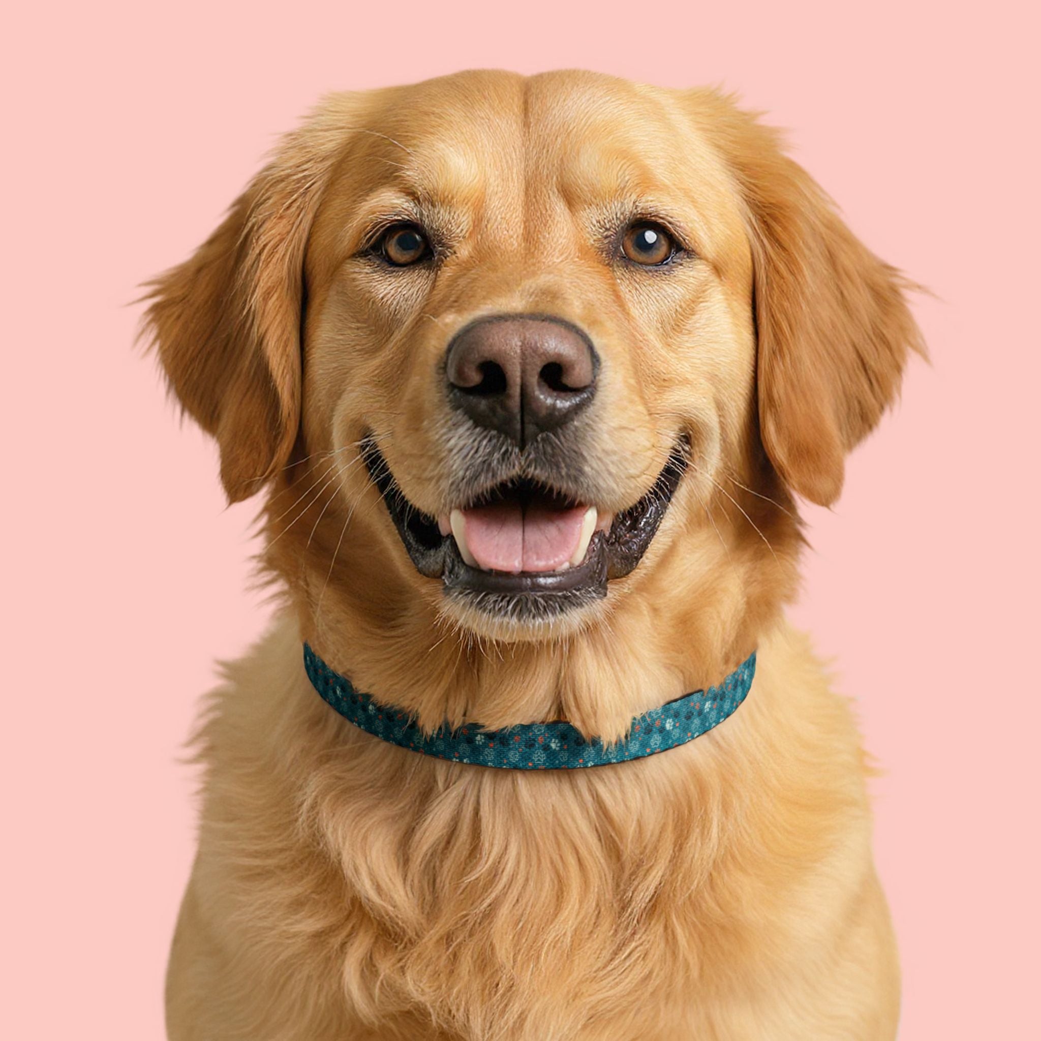 Teal Mosaic Clip-On Pet Collar — Lightweight Adjustable Dog & Cat Collar