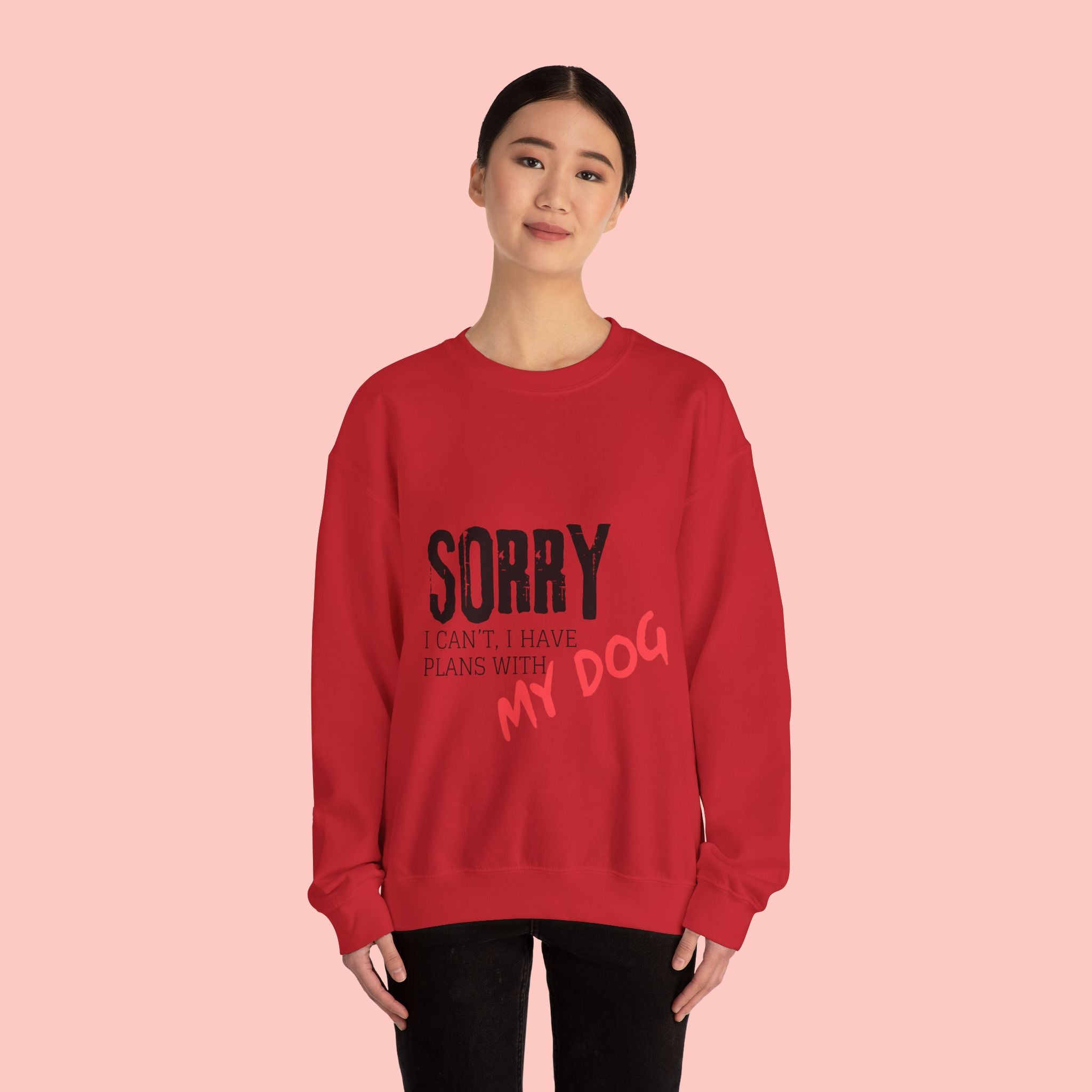 Sorry I Can't I Have Plans With My Dog Sweatshirt