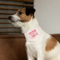 Certified Good Boy Pet Bandana Collar - Pink Paw Print Dog Scarf