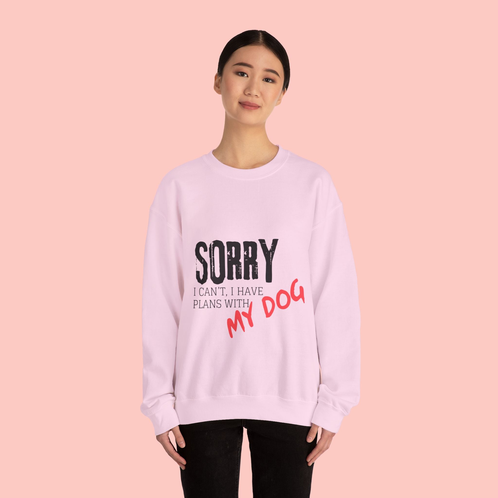 Sorry I Can't I Have Plans With My Dog Sweatshirt