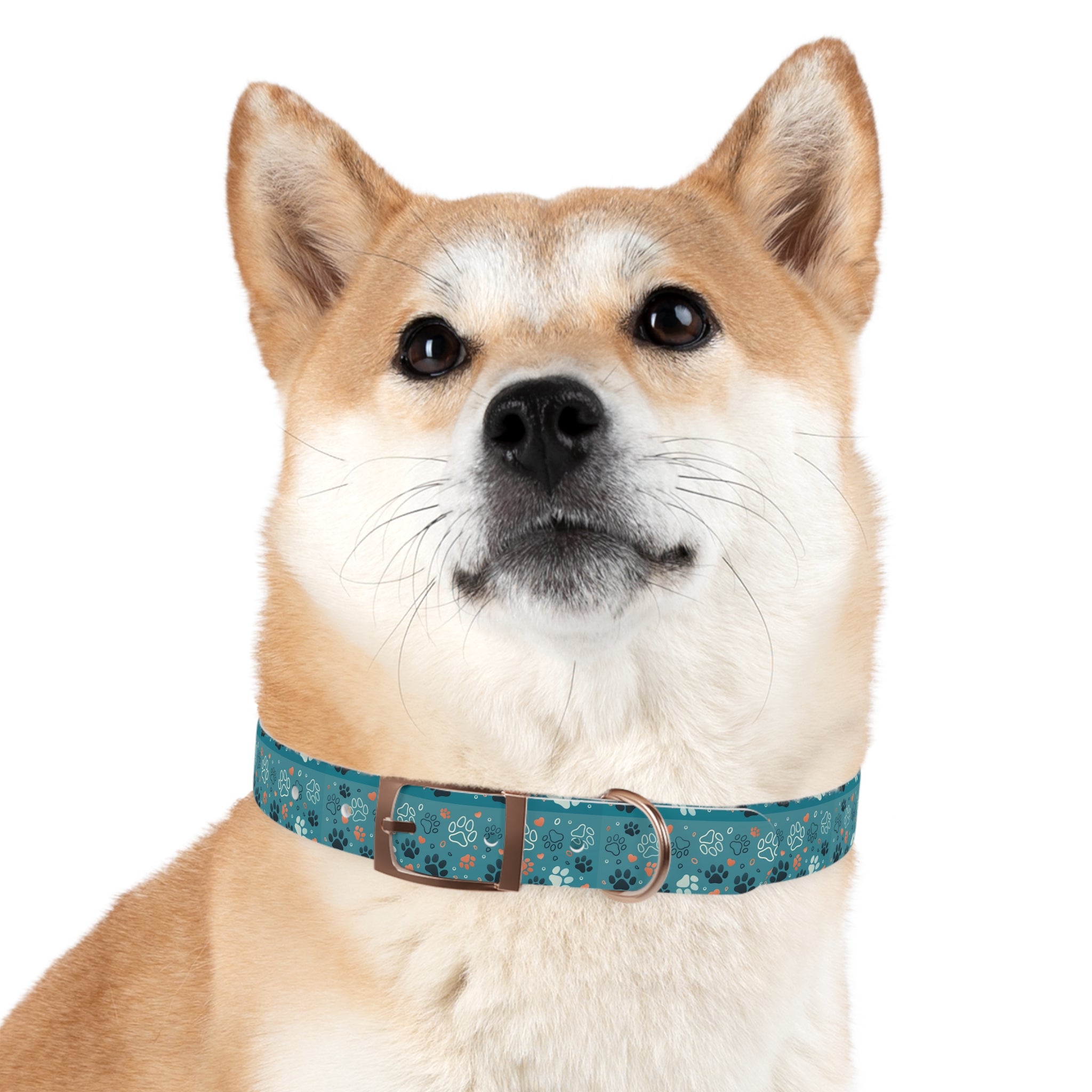 Paw Print Dog Collar — Teal Patterned Pet Collar for Small & Medium Dogs