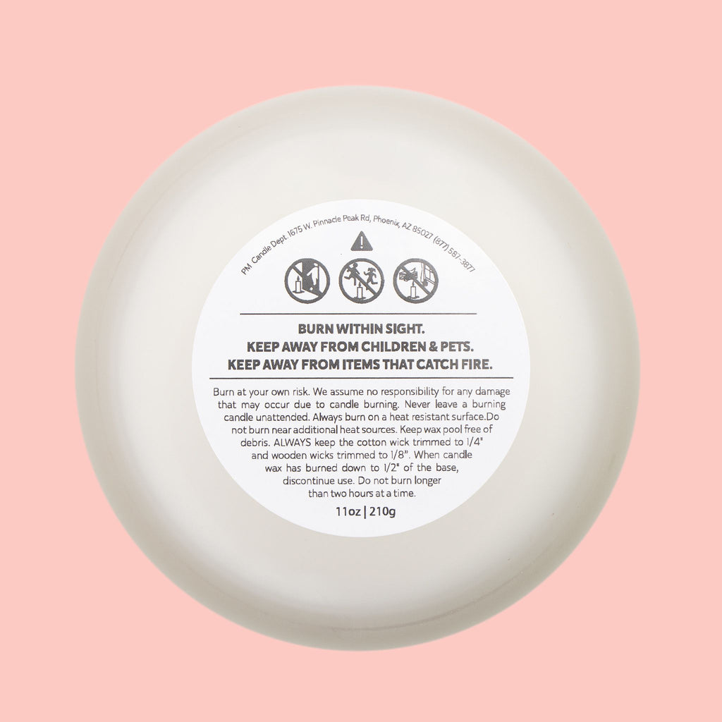 Frosted Glass Candle — "Lite Me When the Dog Farts" Scented Candle, 11oz Gift for Dog Lovers