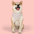 Floral Paw Print Pet Bandana Collar — Cute Spring Dog & Cat Accessory