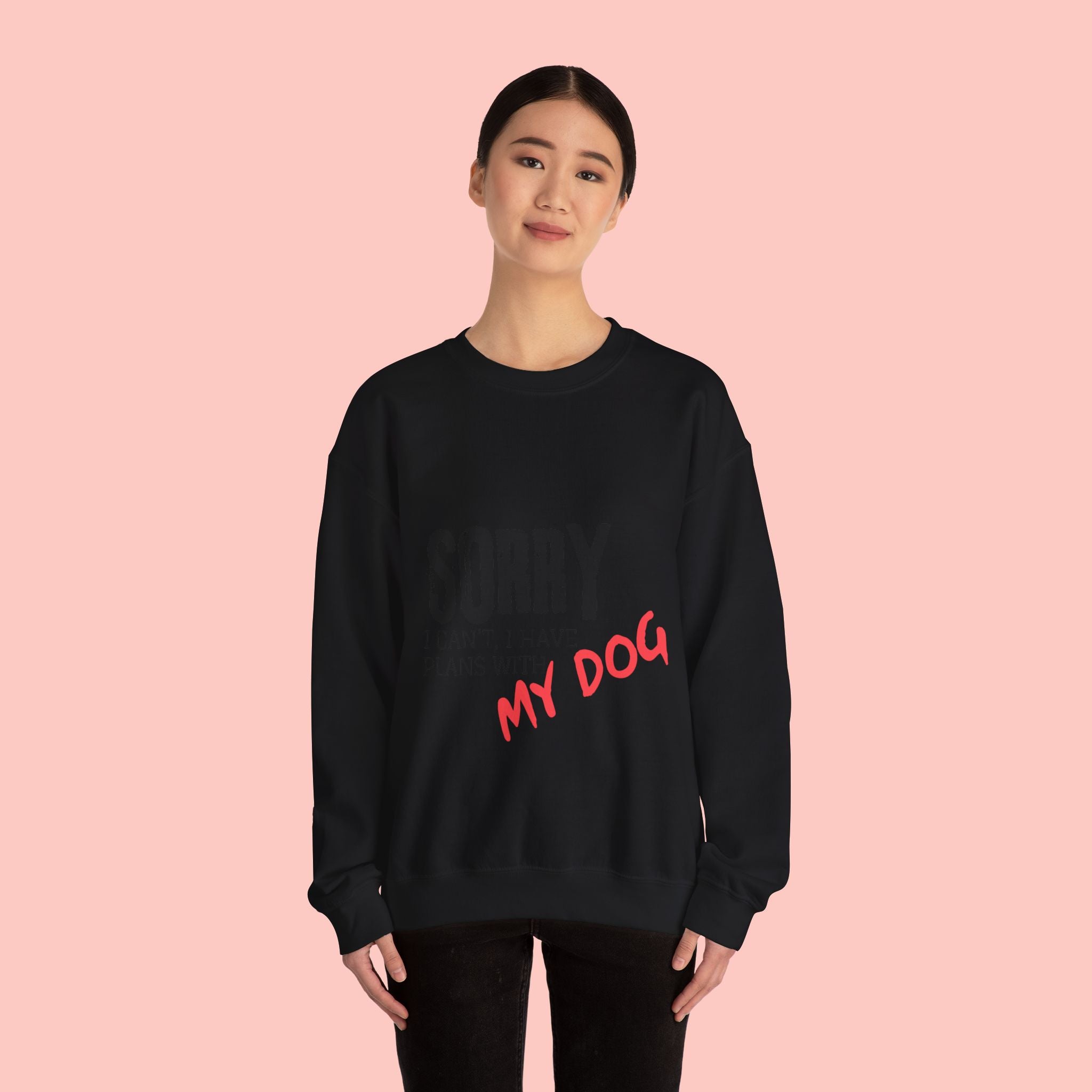 Sorry I Can't I Have Plans With My Dog Sweatshirt