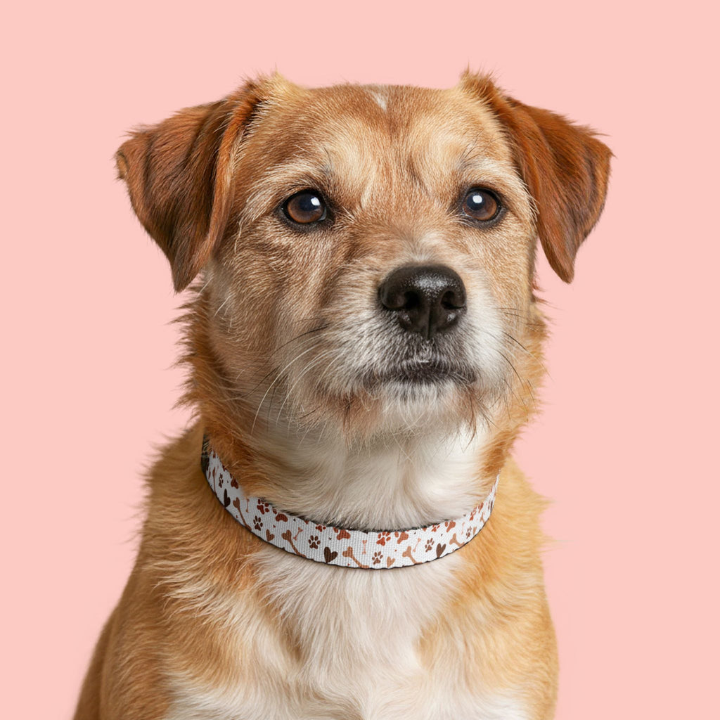 Paw Print Clip-On Pet Collar – Adjustable Dog & Cat Collar