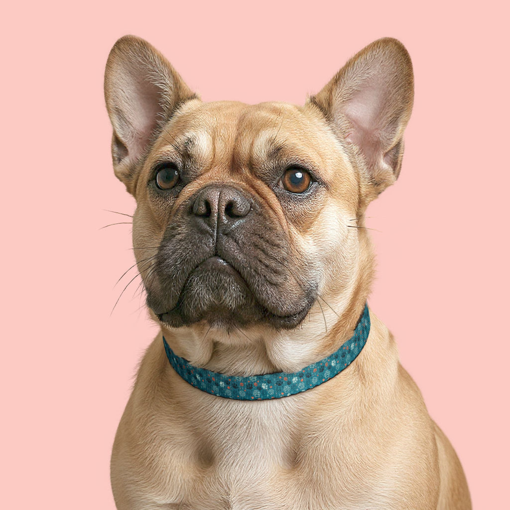 Teal Mosaic Clip-On Pet Collar — Lightweight Adjustable Dog & Cat Collar