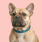 Teal Mosaic Clip-On Pet Collar — Lightweight Adjustable Dog & Cat Collar