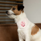 Mama's Healing Pet Bandana Collar — Pink Paw Print Dog & Cat Accessory
