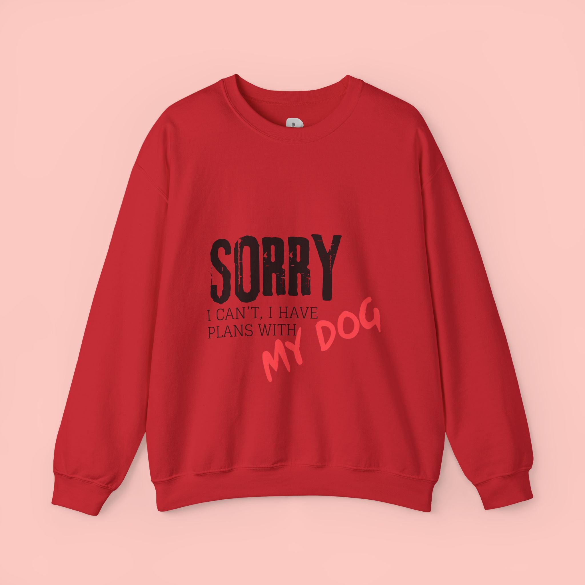 Sorry I Can't I Have Plans With My Dog Sweatshirt