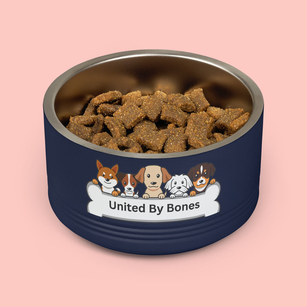 United By Bones 18oz Pet Bowl — Cute Cartoon Dogs Stainless Steel Bowl for Dogs & Cats