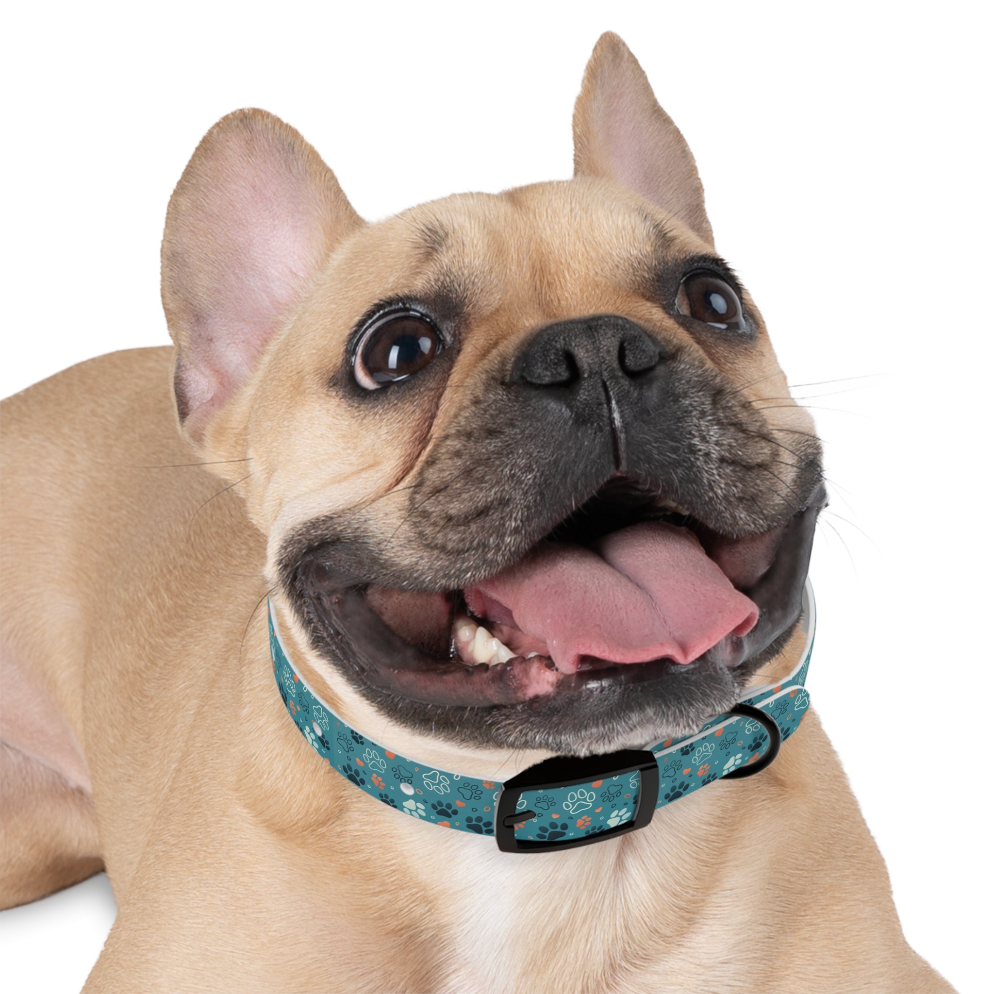 Paw Print Dog Collar — Teal Patterned Pet Collar for Small & Medium Dogs