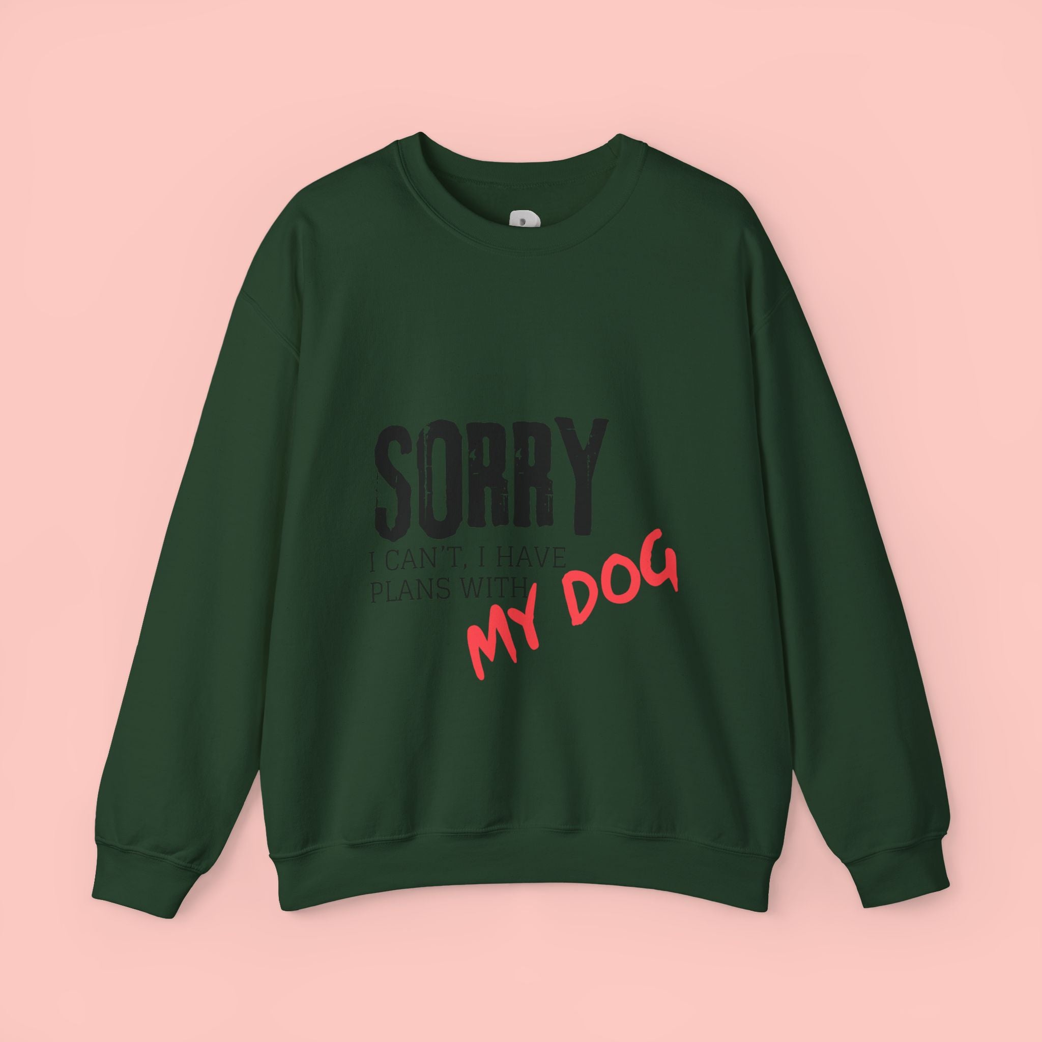 Sorry I Can't I Have Plans With My Dog Sweatshirt