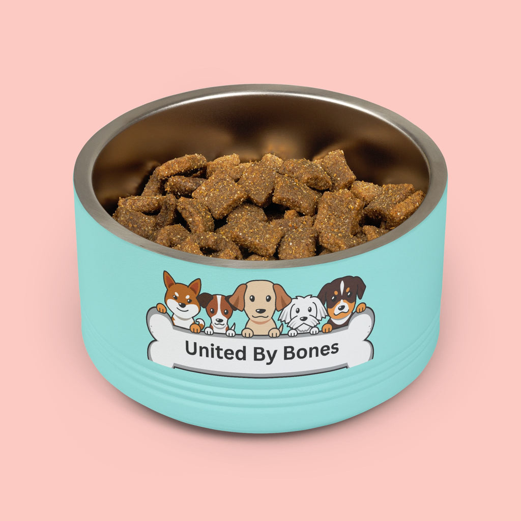 United By Bones 18oz Pet Bowl — Cute Cartoon Dogs Stainless Steel Bowl for Dogs & Cats