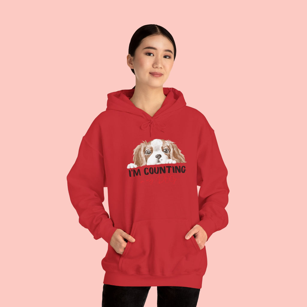 Dog Mom Hoodie – Cute Cavalier King Charles ‘I’m Counting My Dog’ Sweatshirt