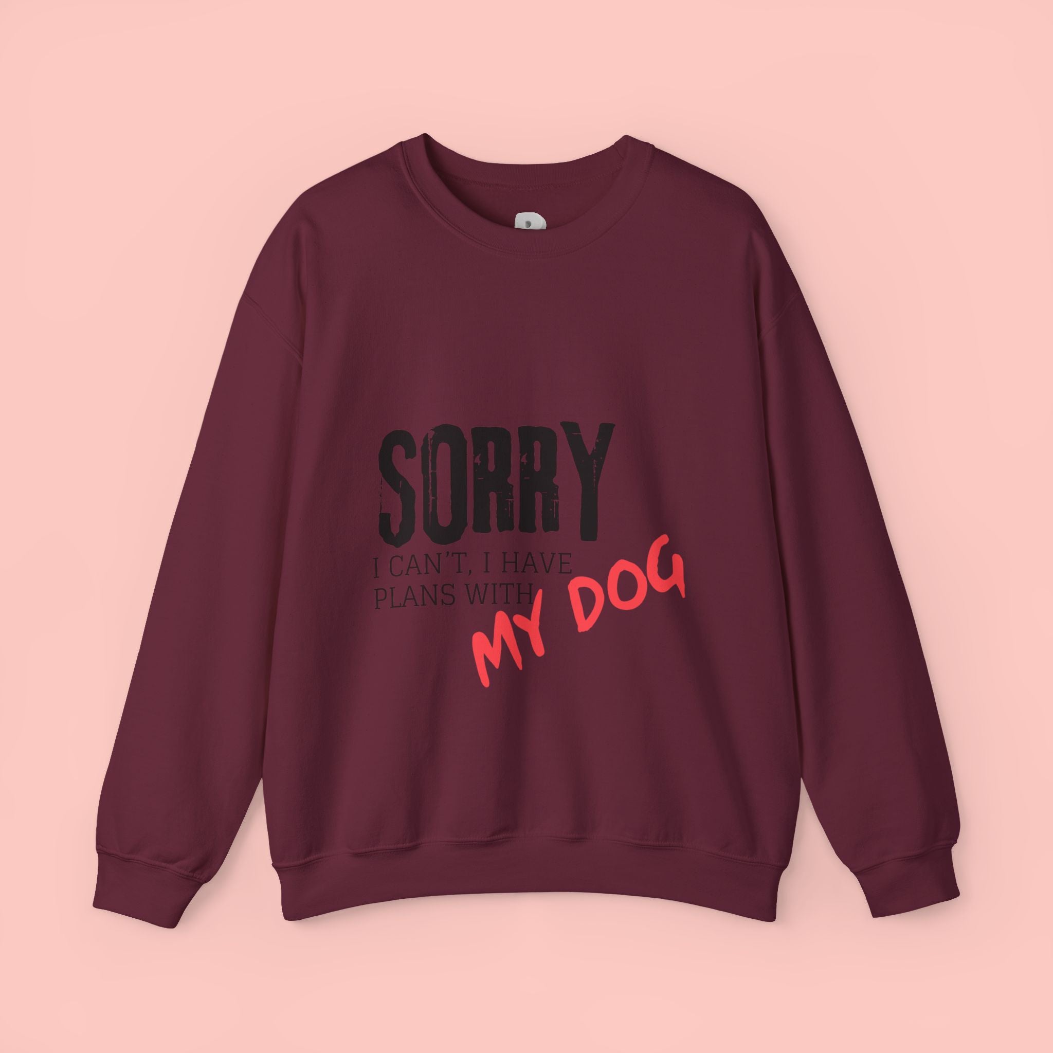 Sorry I Can't I Have Plans With My Dog Sweatshirt