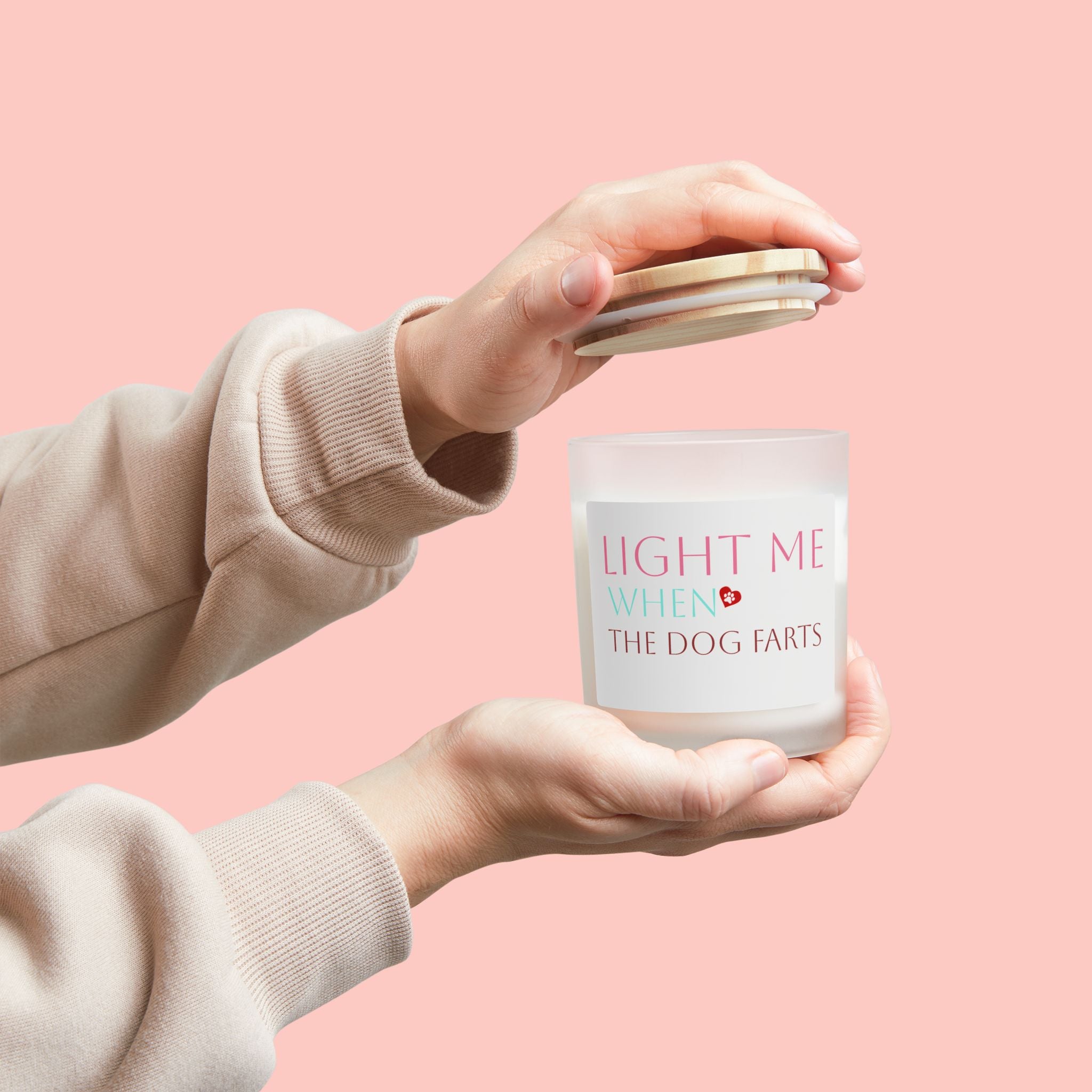 Frosted Glass Candle — “Light Me When the Dog Farts” Scented Candle, Funny Pet Gag Gift (11 oz)