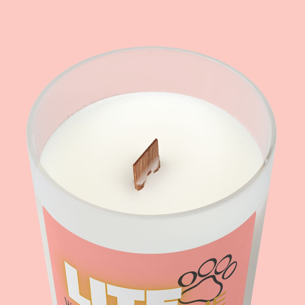 Frosted Glass Candle — "Lite Me When the Dog Farts" Scented Candle, 11oz Gift for Dog Lovers