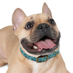 Paw Print Dog Collar — Teal Patterned Pet Collar for Small & Medium Dogs