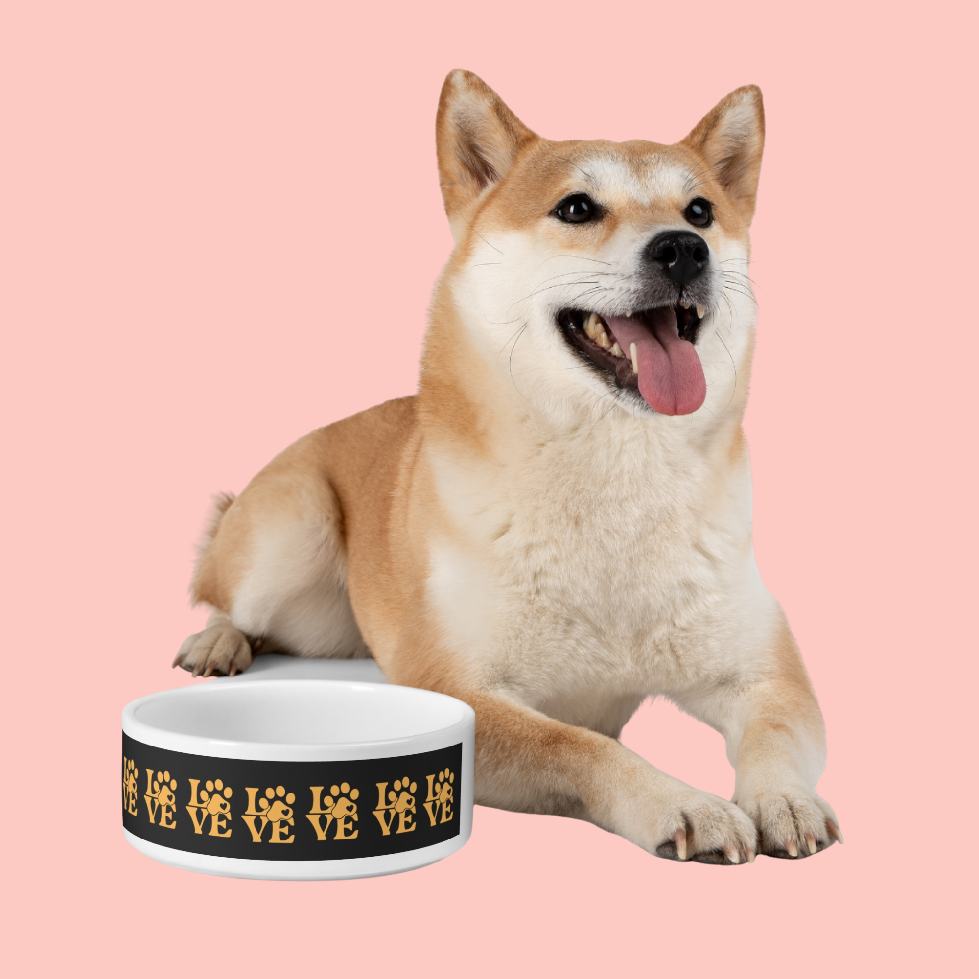 Love Paw Pet Bowl — Gold Paw Print Dog & Cat Feeding Dish