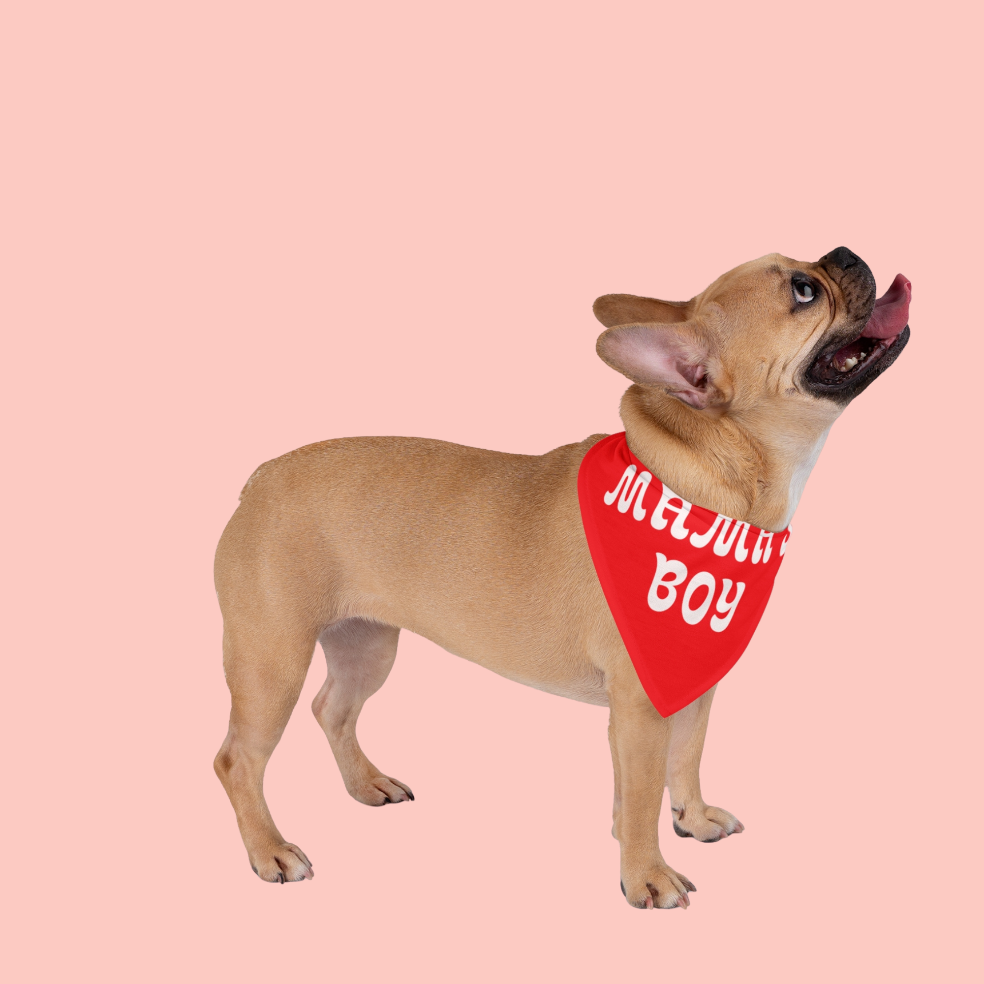 Pet Bandana