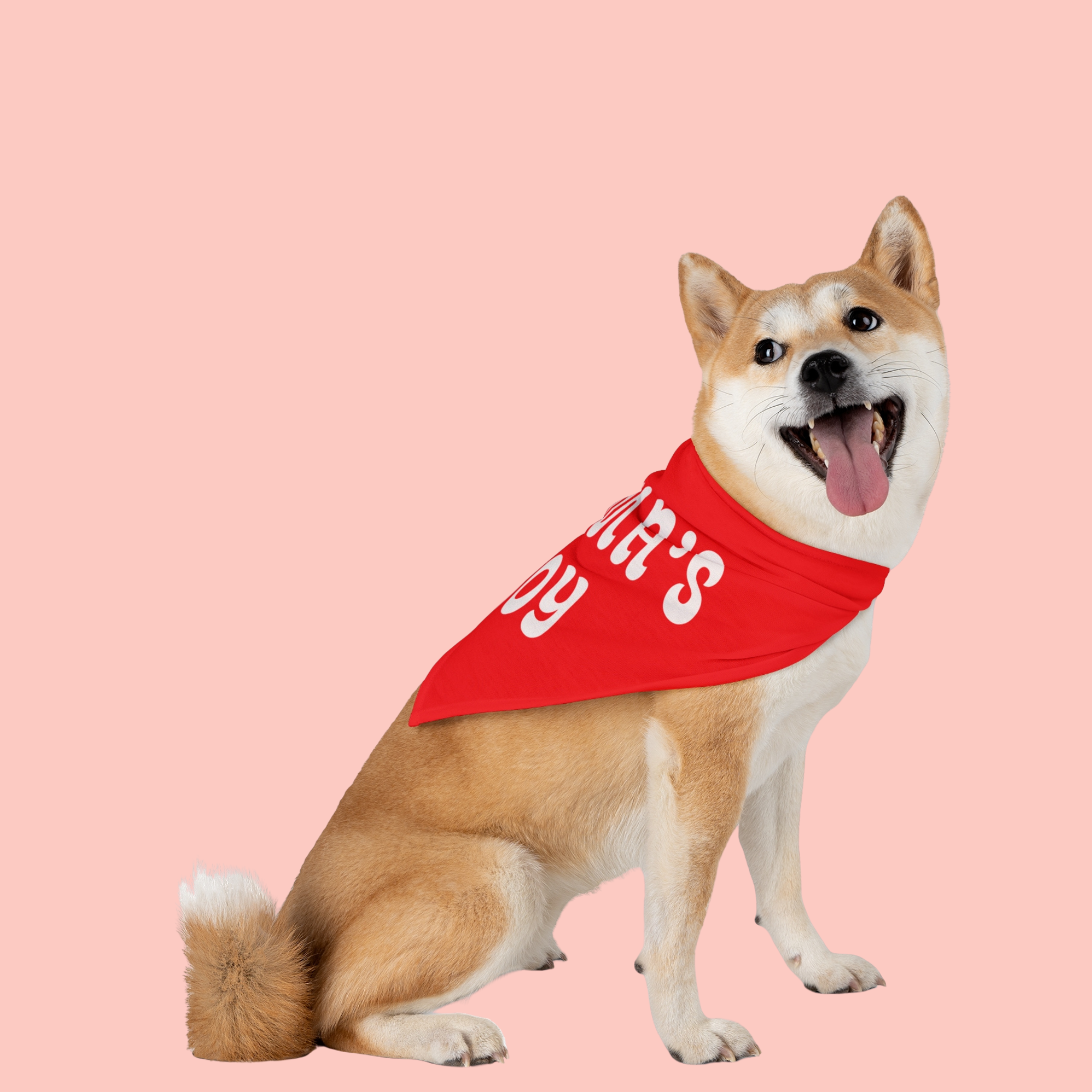 Pet Bandana