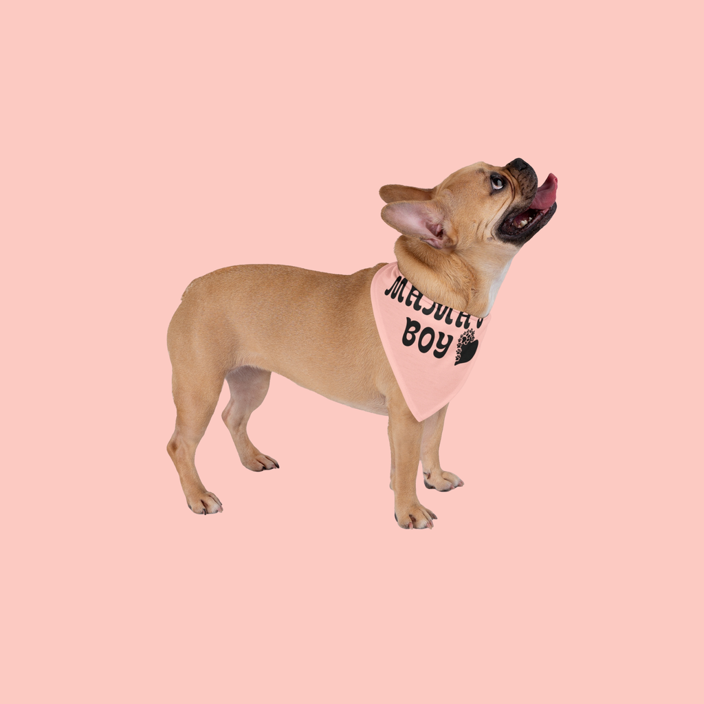Mama's Boy Pet Bandana – Cute Pink Dog/Cat Bandana with Heart Paw Graphic