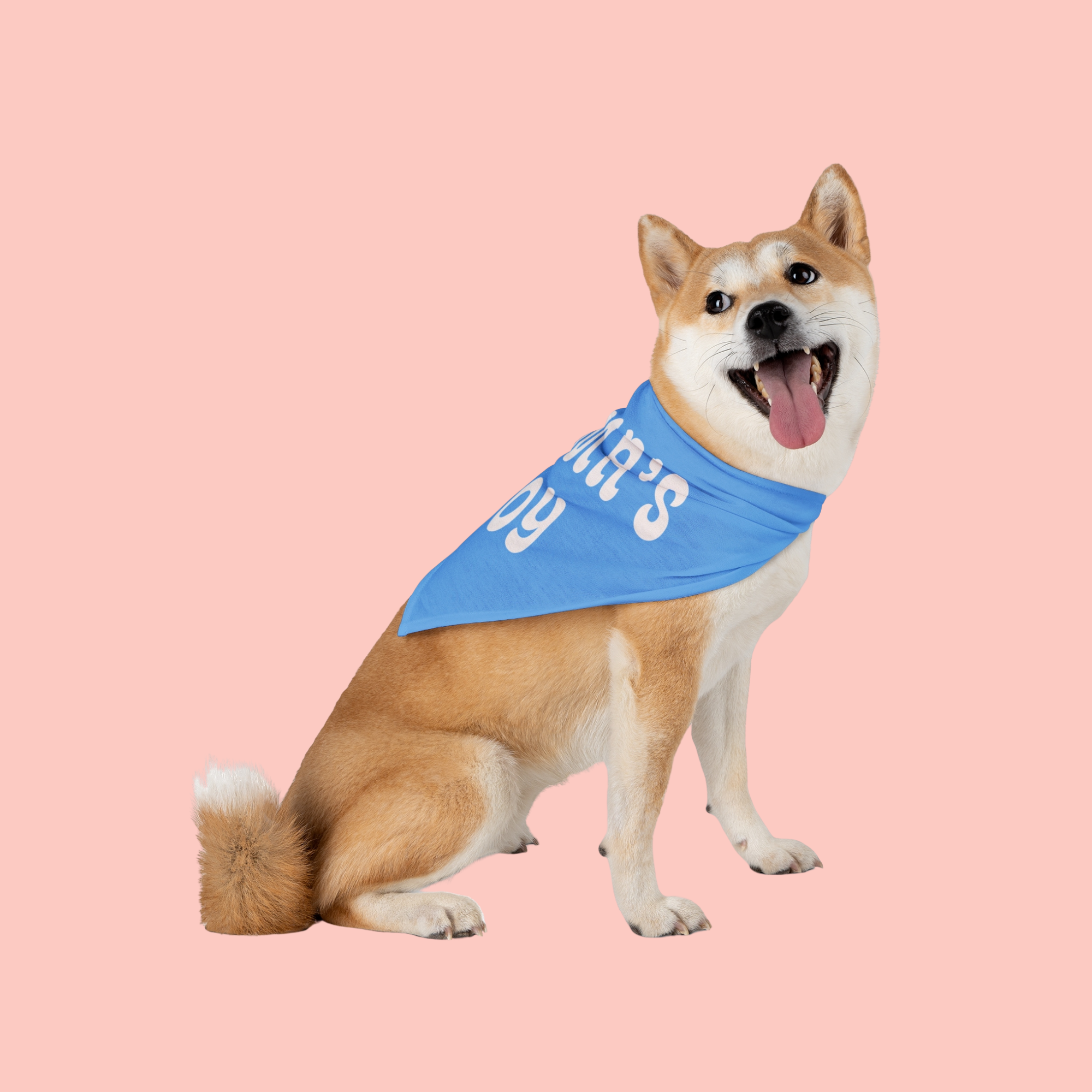 Mama's Boy Pet Bandana – Blue Dog/Cat Bandana for Mother's Day & Everyday