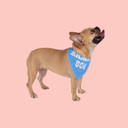 Mama's Boy Pet Bandana – Blue Dog/Cat Bandana for Mother's Day & Everyday