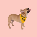 Mama's Boy Pet Bandana - Yellow Dog Bandana, Cute Retro Script Gift for New Puppies & Mother's Day