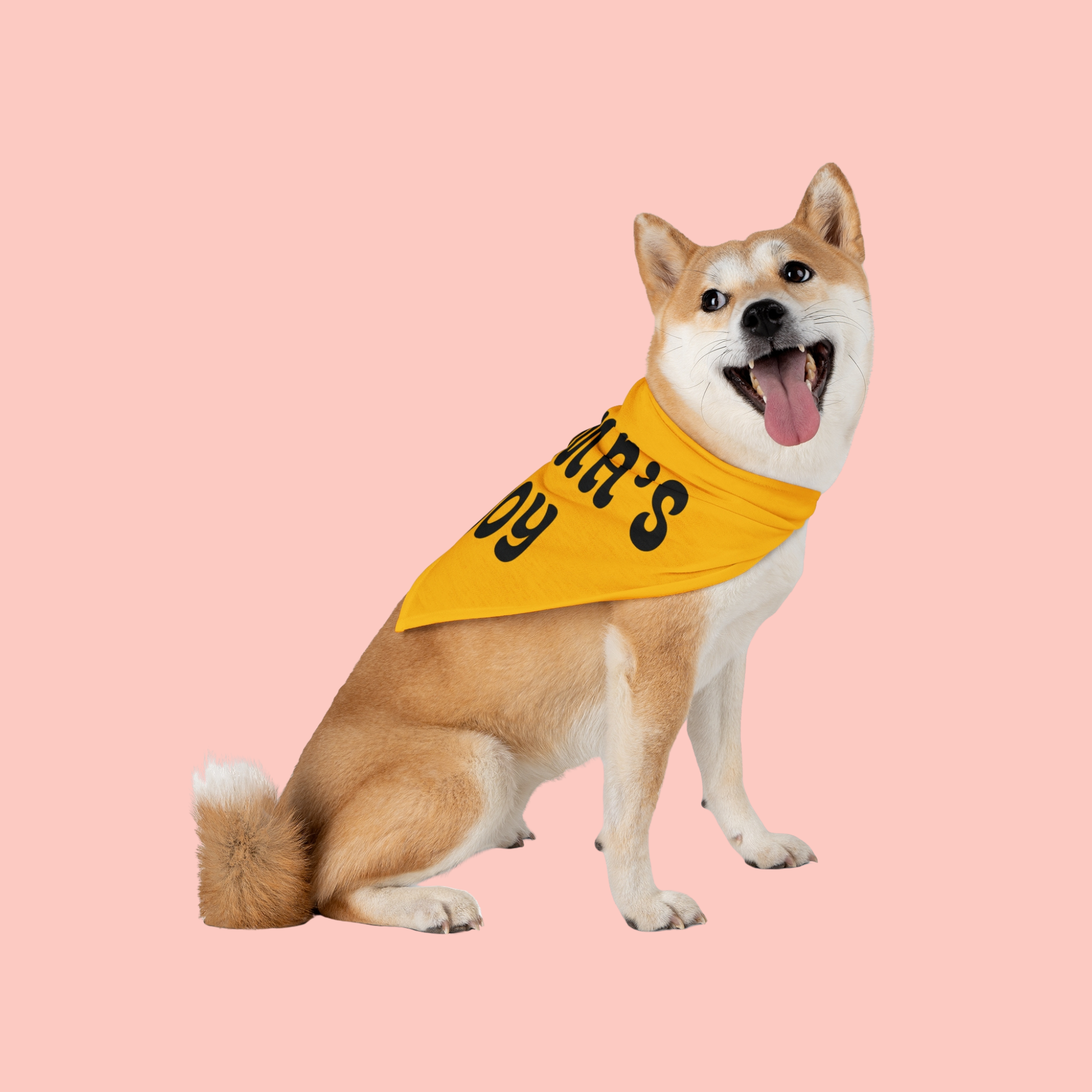 Mama's Boy Pet Bandana - Yellow Dog Bandana, Cute Retro Script Gift for New Puppies & Mother's Day