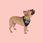 Pet Bandana — "Mama's Boy" Dog Bandana, Cute Retro Script Accessory for Dogs & Cats, Gift for New Pet Moms