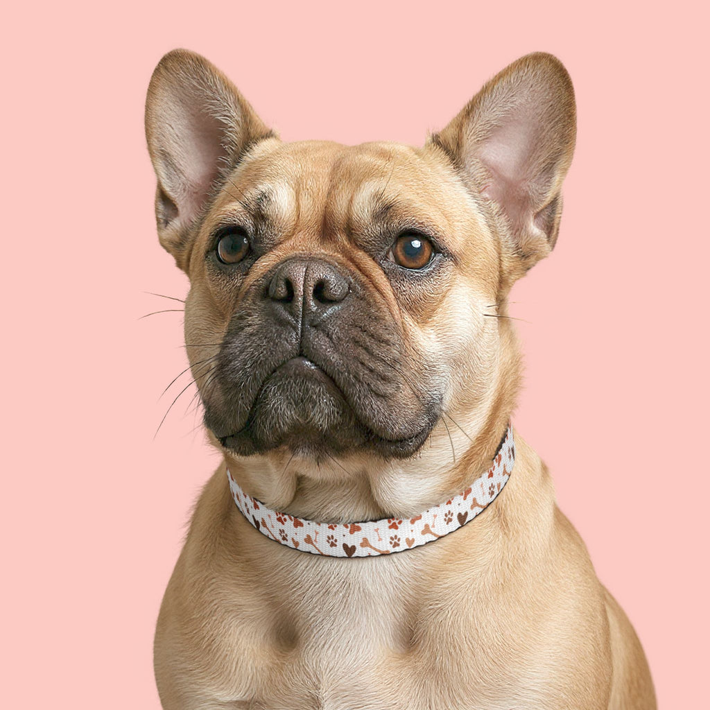 Paw Print Clip-On Pet Collar – Adjustable Dog & Cat Collar