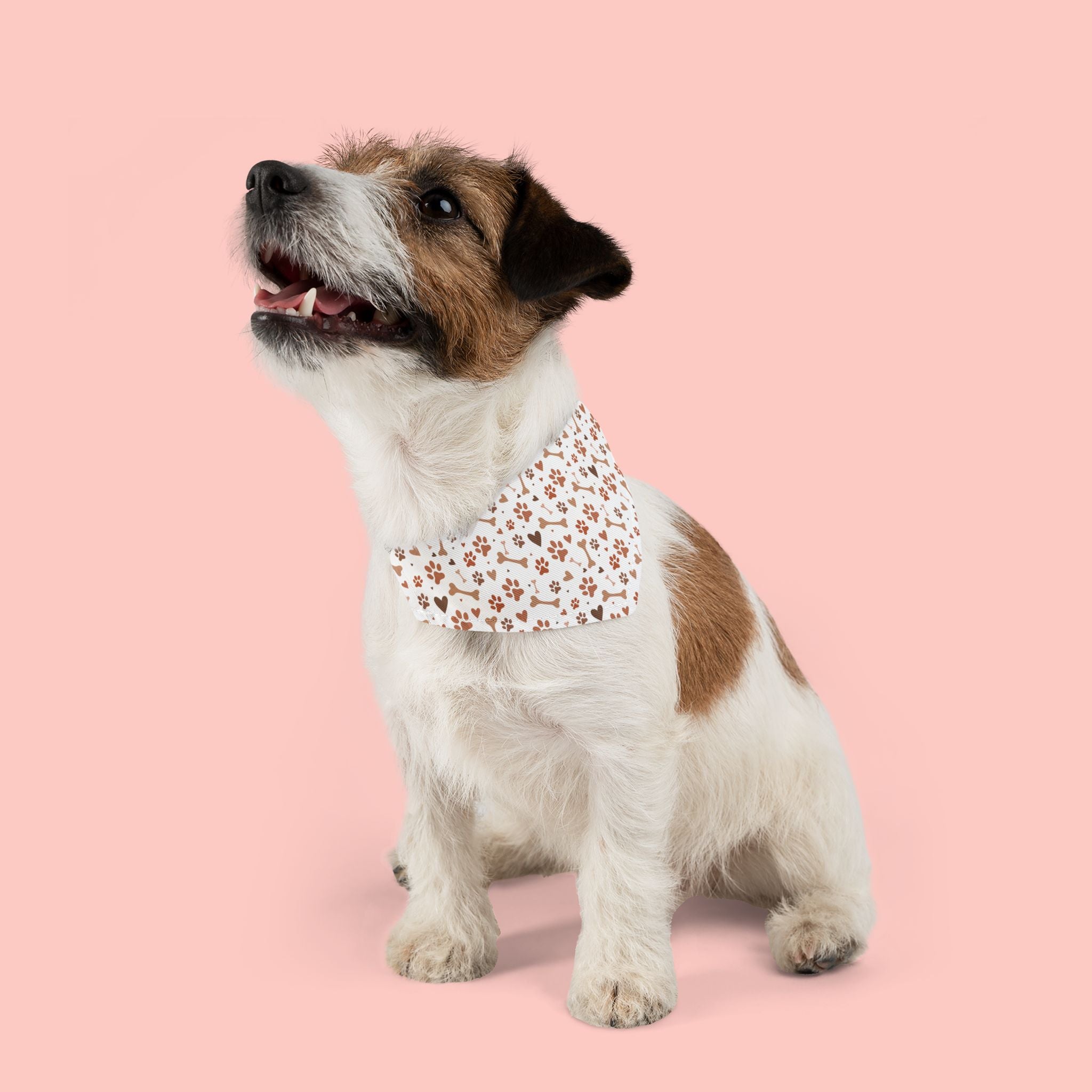 Floral Paw Print Pet Bandana Collar — Cute Spring Dog & Cat Accessory