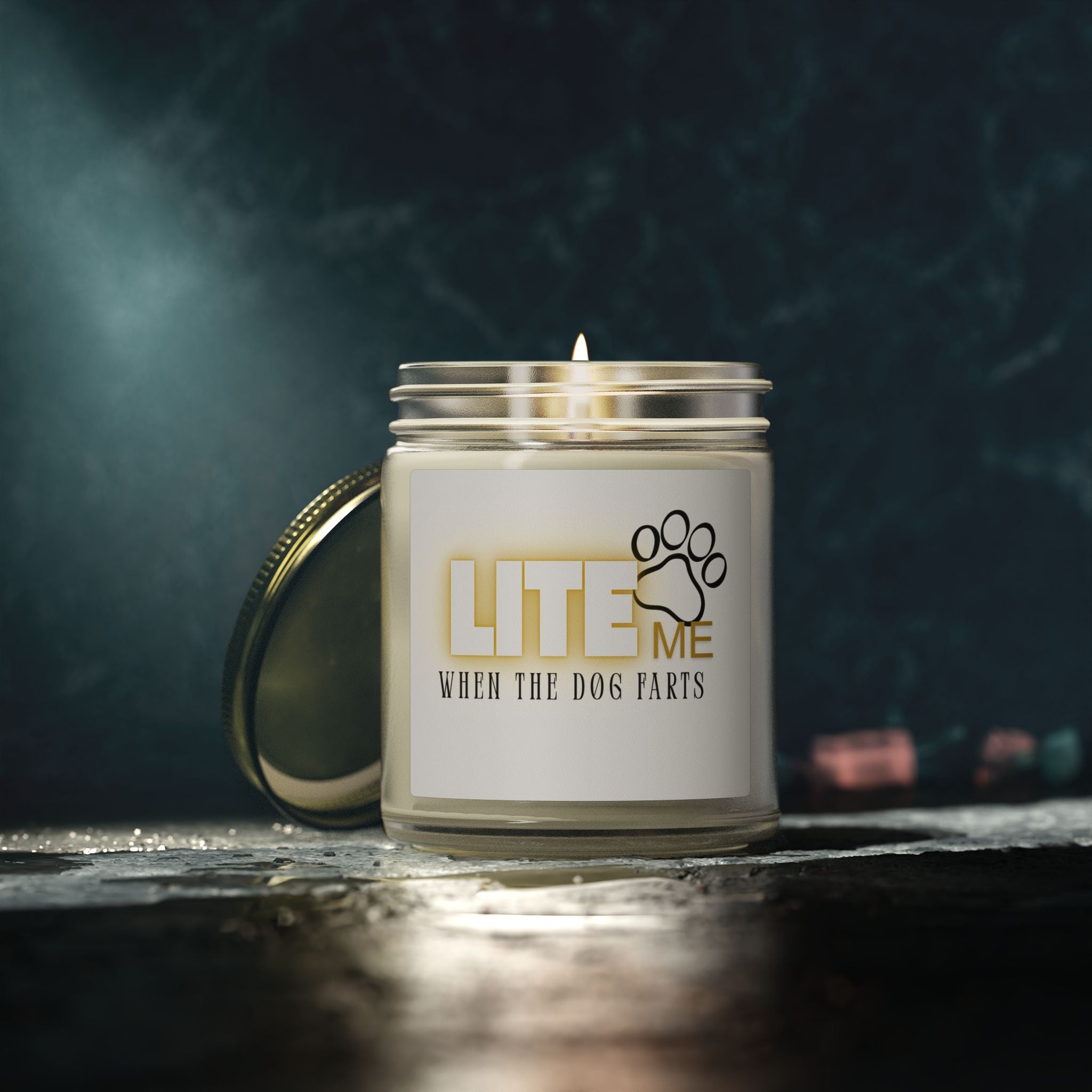 Coconut Apricot Scented Candle — "Lite Me When The Dog Farts" (4oz / 9oz)