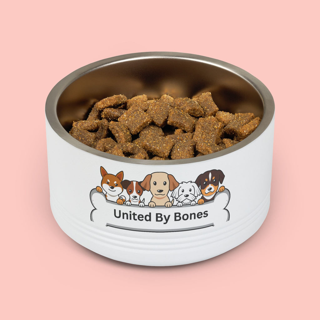 United By Bones 18oz Pet Bowl — Cute Cartoon Dogs Stainless Steel Bowl for Dogs & Cats