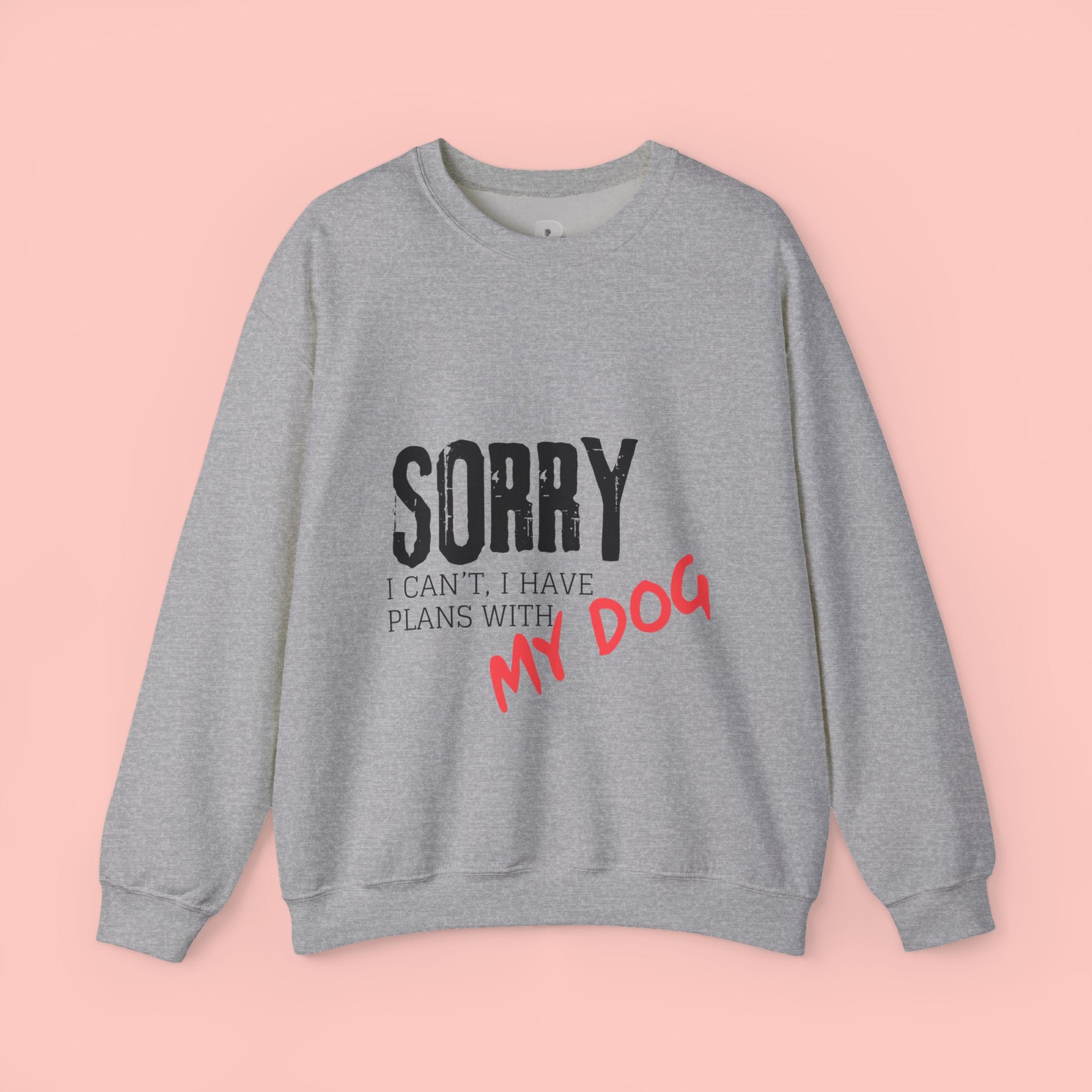 Sorry I Can't I Have Plans With My Dog Sweatshirt