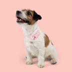 Mama’s Girl Pet Bandana Collar — Pink Floral Dog & Cat Accessory