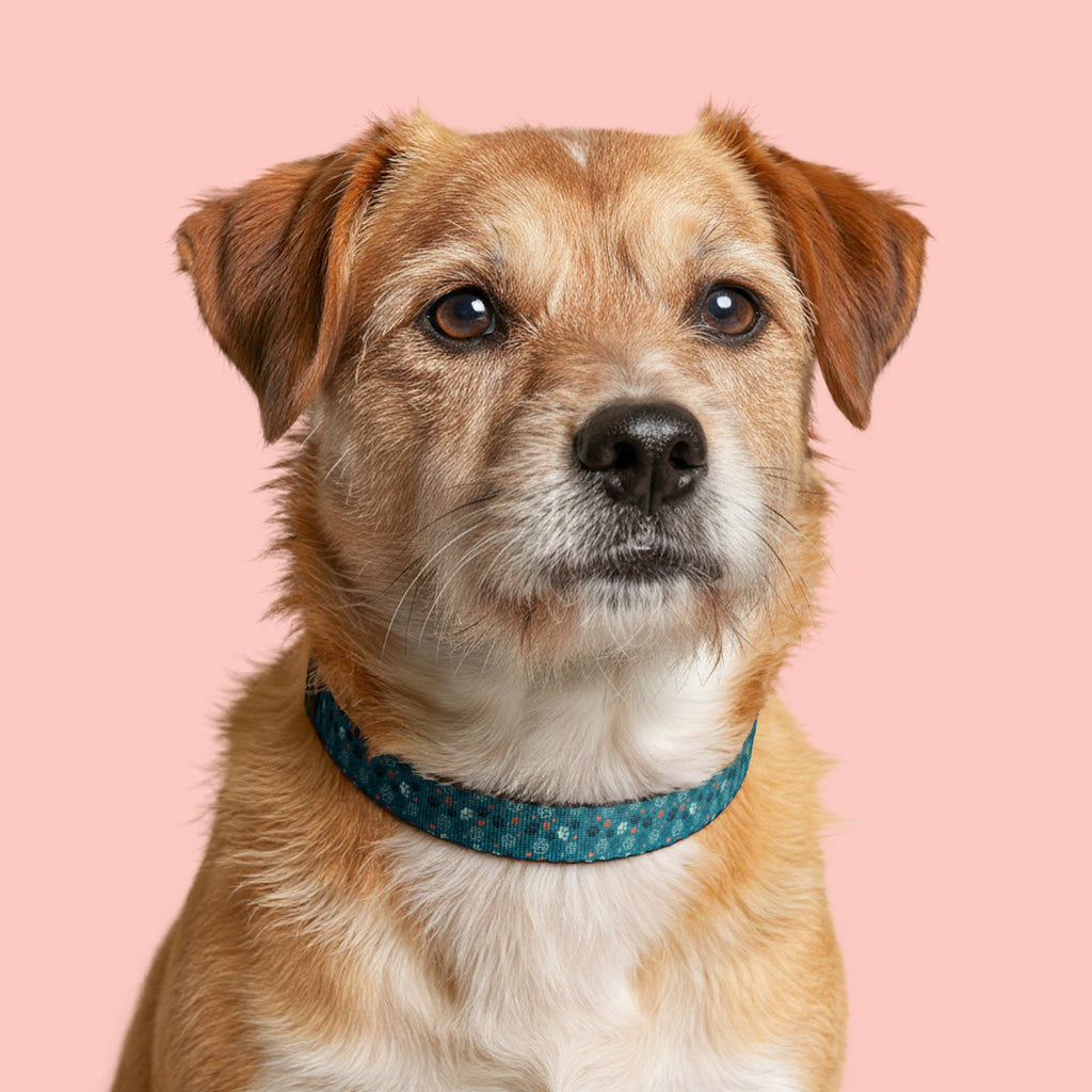 Teal Mosaic Clip-On Pet Collar — Lightweight Adjustable Dog & Cat Collar