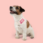 Bandana — "Mama's Girl" Pink Paw & Heart Pet Bandana Collar