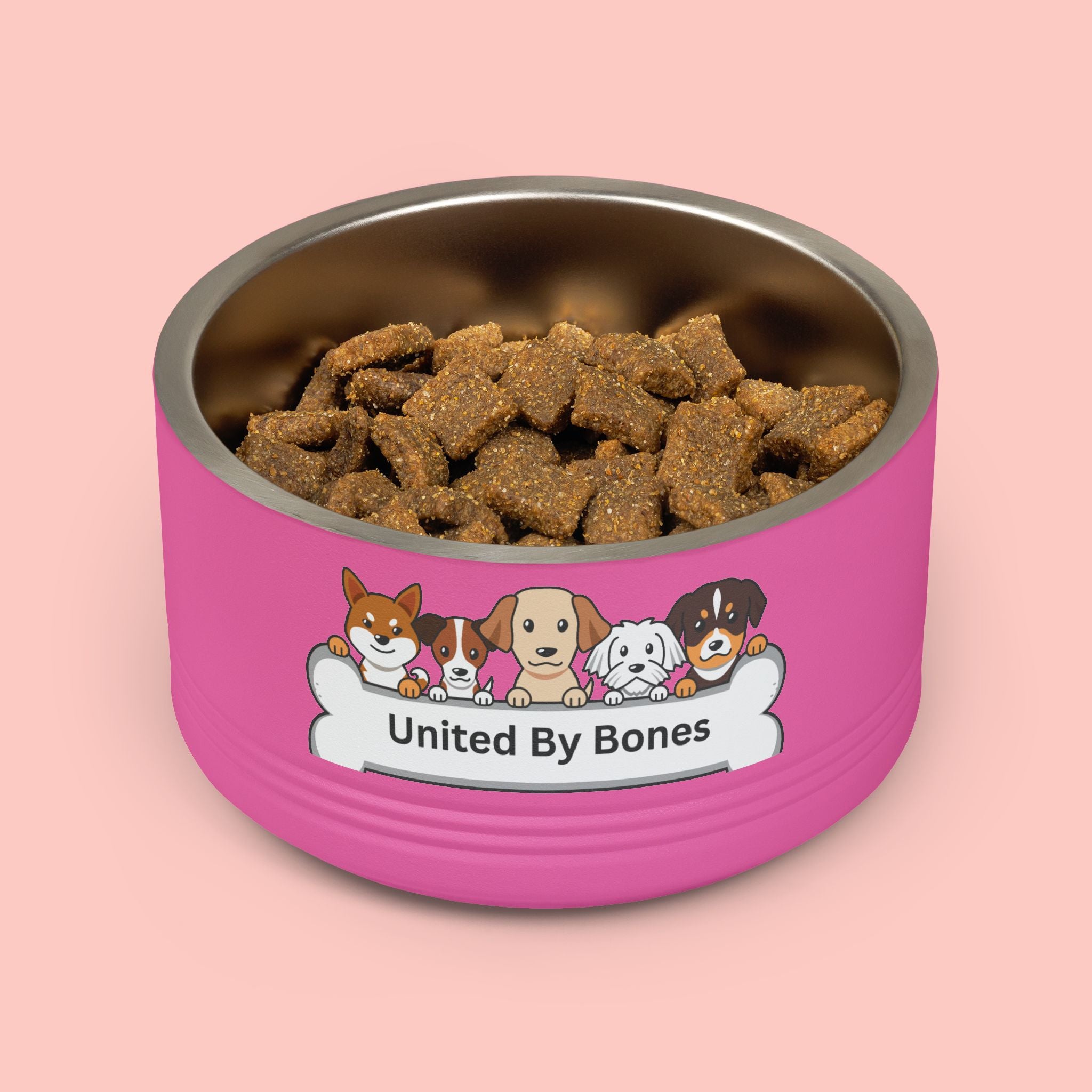 United By Bones 18oz Pet Bowl — Cute Cartoon Dogs Stainless Steel Bowl for Dogs & Cats