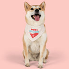 Mom's Favorite Pet Bandana Collar – Cute Paw Print Dog & Cat Accessory