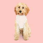 Pet Hoodie — "Mama’s Girl" Pink Heart Puppy Hoodie