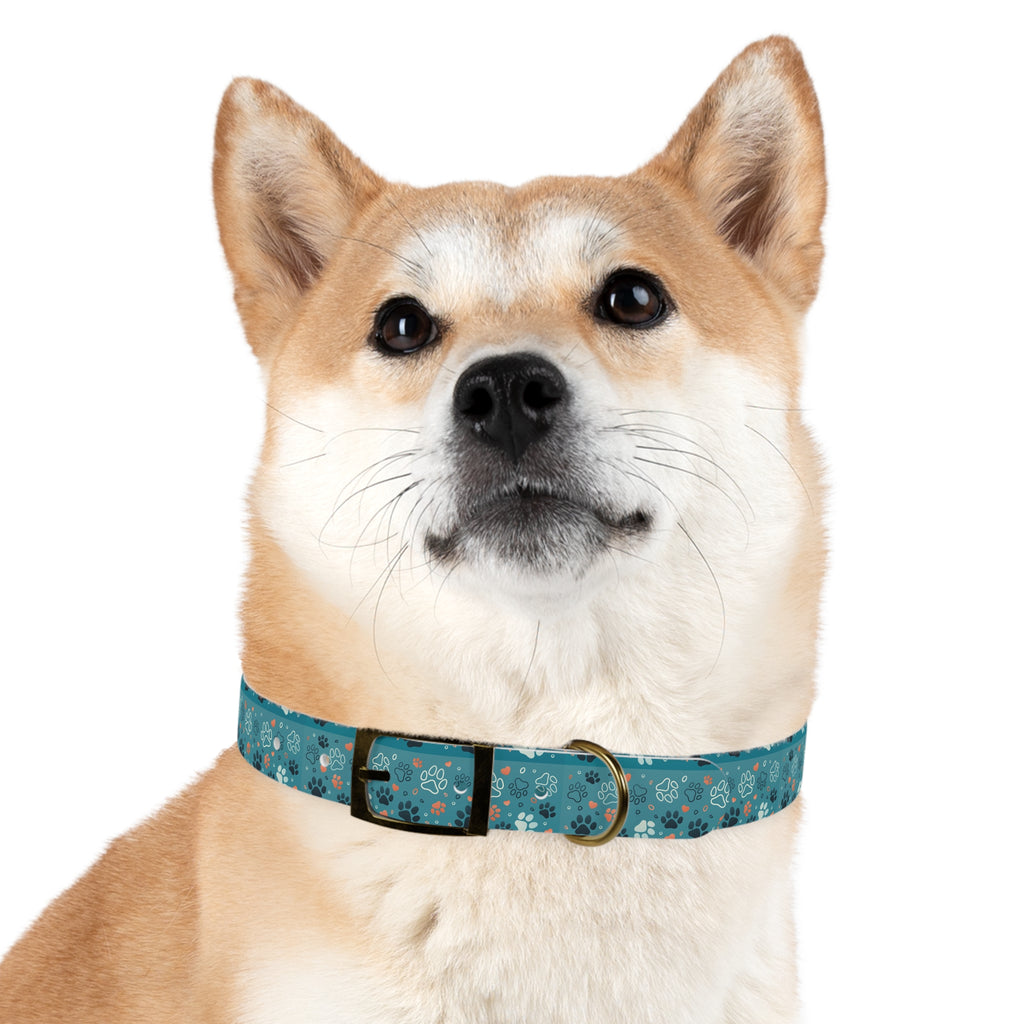 Paw Print Dog Collar — Teal Patterned Pet Collar for Small & Medium Dogs