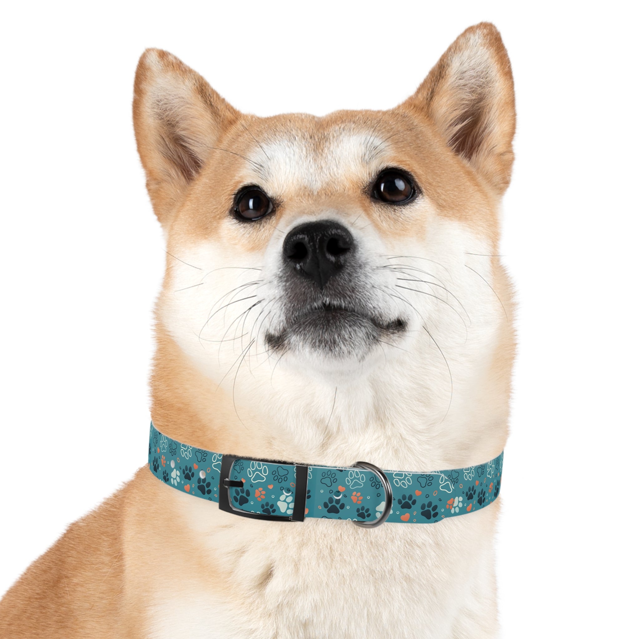 Paw Print Dog Collar — Teal Patterned Pet Collar for Small & Medium Dogs