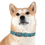 Paw Print Dog Collar — Teal Patterned Pet Collar for Small & Medium Dogs