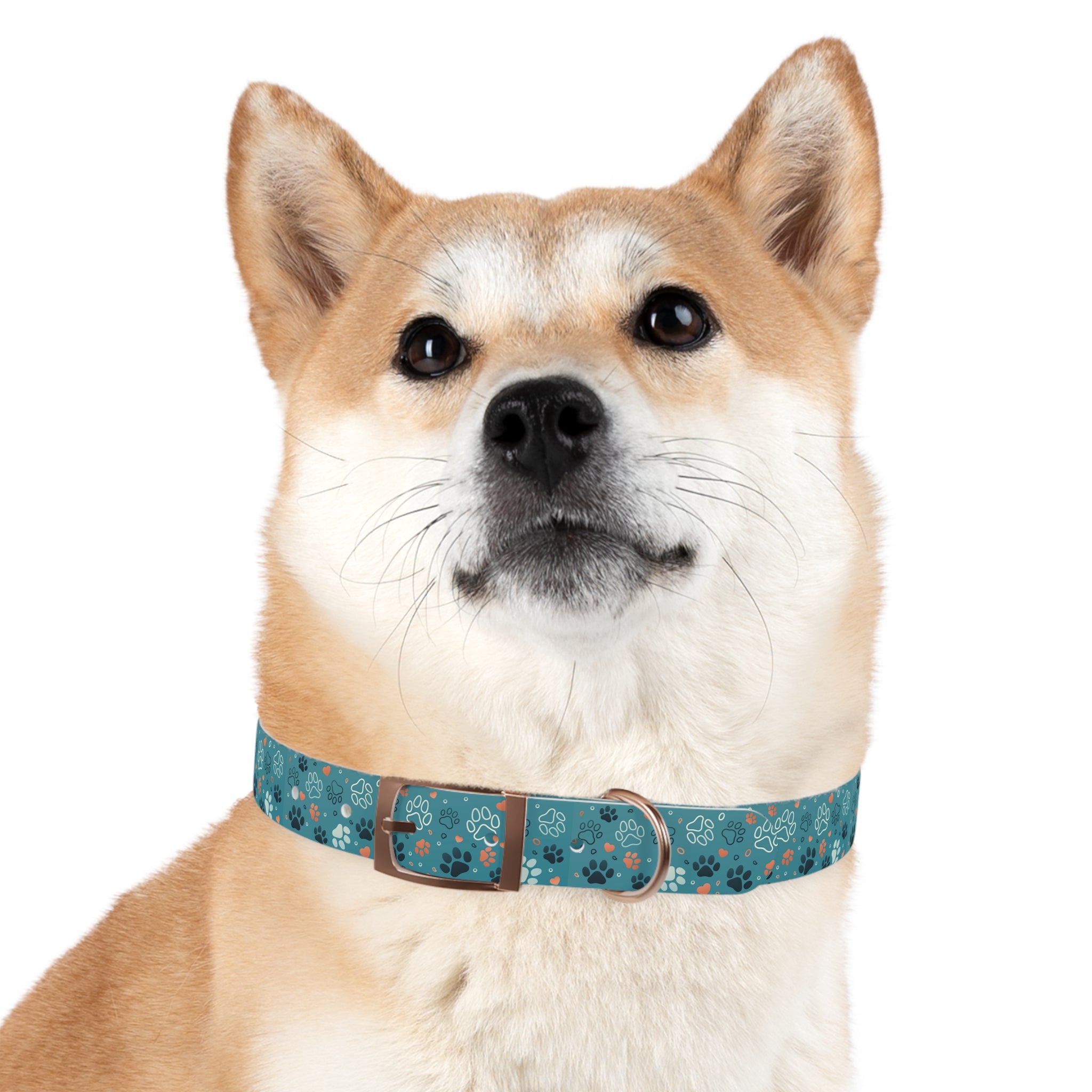 Paw Print Dog Collar — Teal Patterned Pet Collar for Small & Medium Dogs