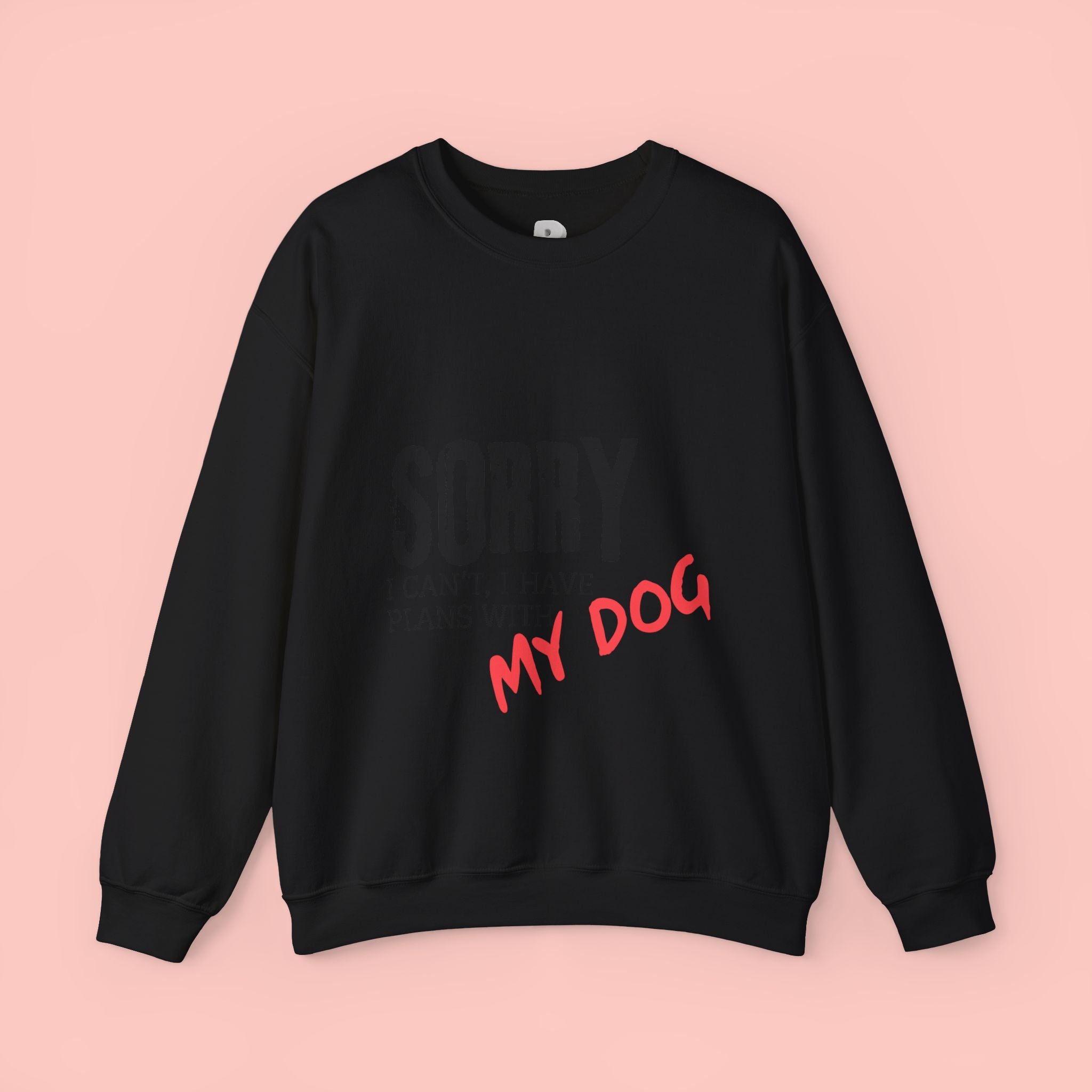 Sorry I Can't I Have Plans With My Dog Sweatshirt